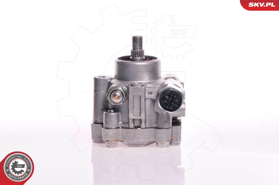 Hydraulic Pump, steering 10SKV132