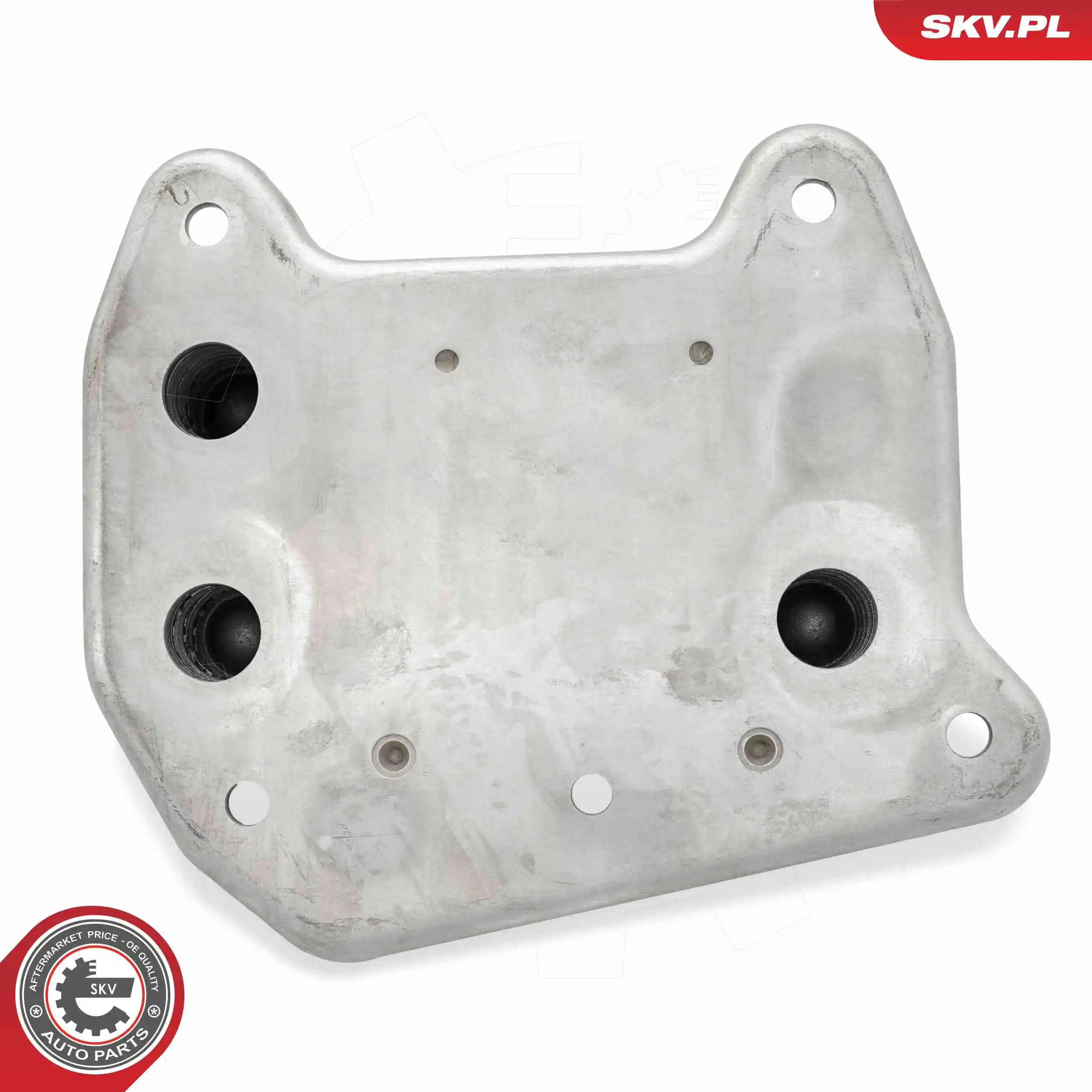 Oil Cooler, engine oil 31SKV282