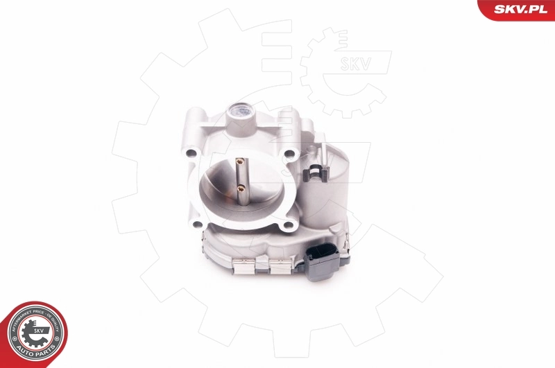 Throttle Body 12SKV067