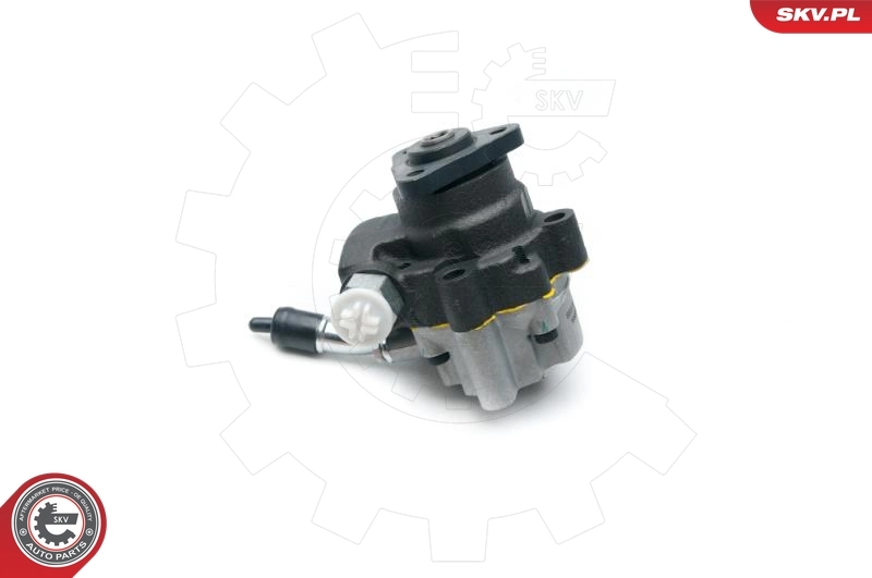 Hydraulic Pump, steering 10SKV190