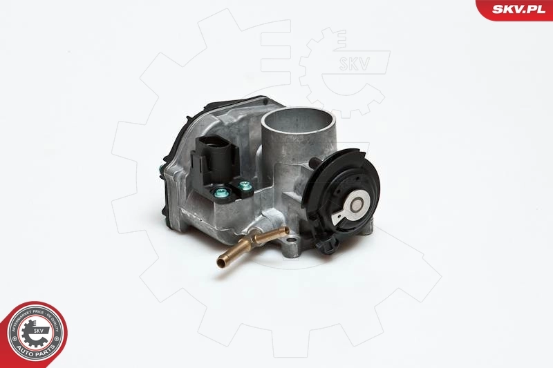 Throttle Body 12SKV033