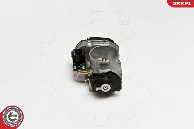 Throttle Body 12SKV034