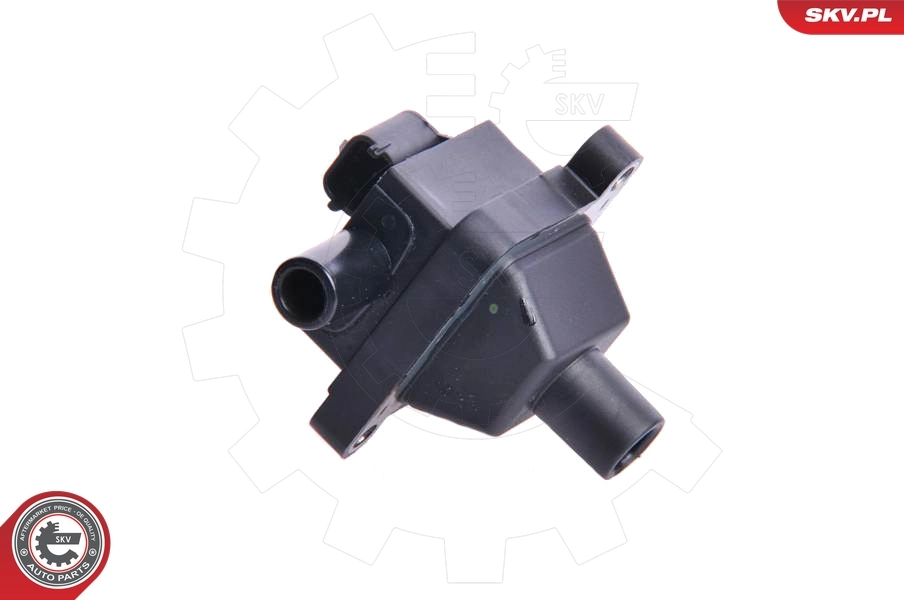 Ignition Coil 03SKV009