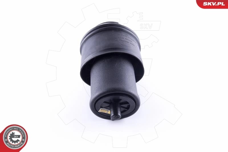 Air Spring, suspension 58SKV022