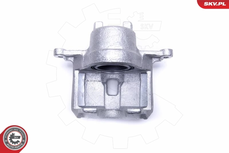 Brake Caliper 50SKV921
