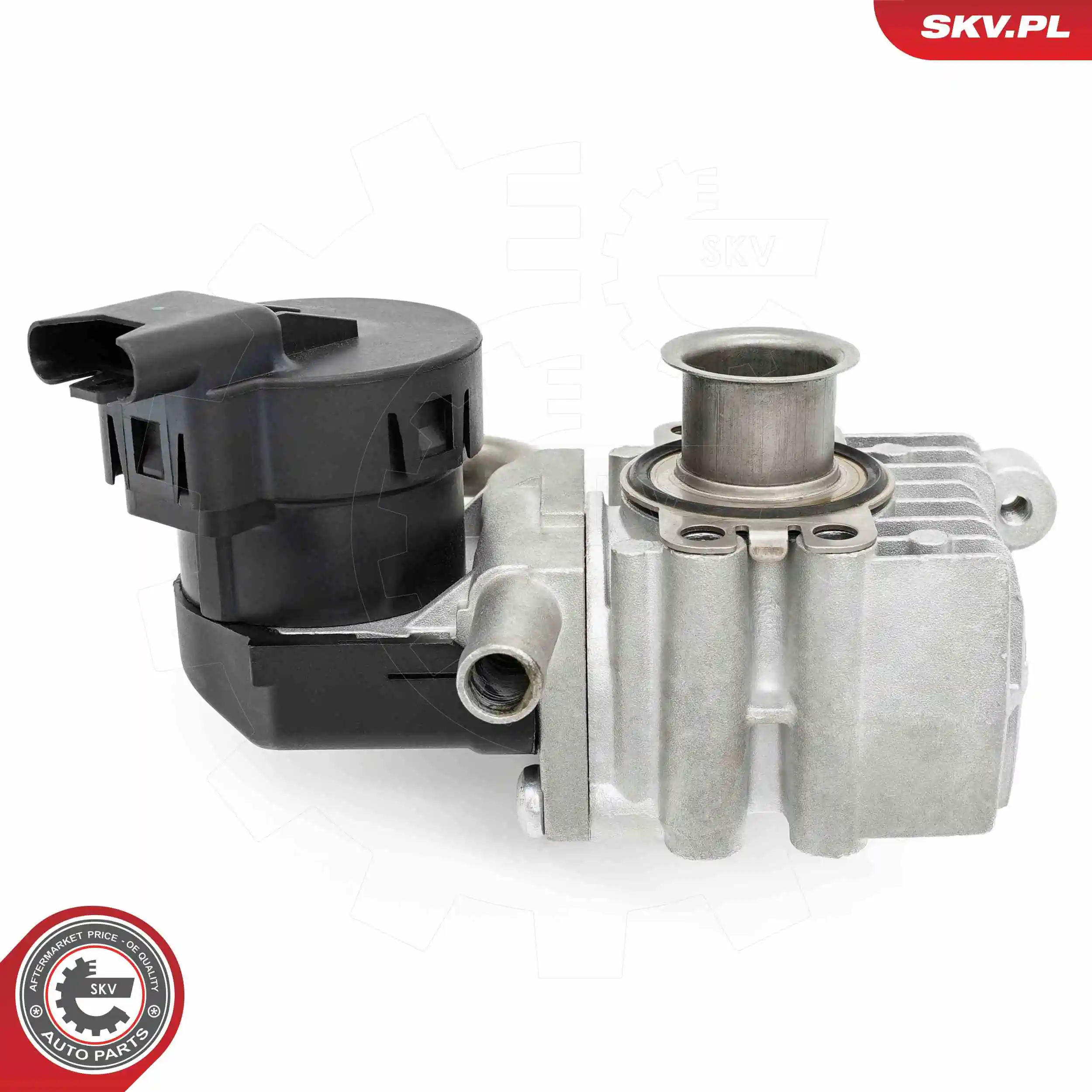 EGR Valve 14SKV283