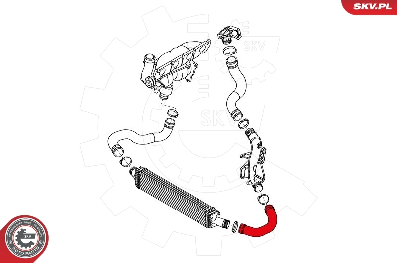 Charge Air Hose 43SKV113