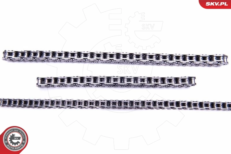 Timing Chain Kit 21SKV199