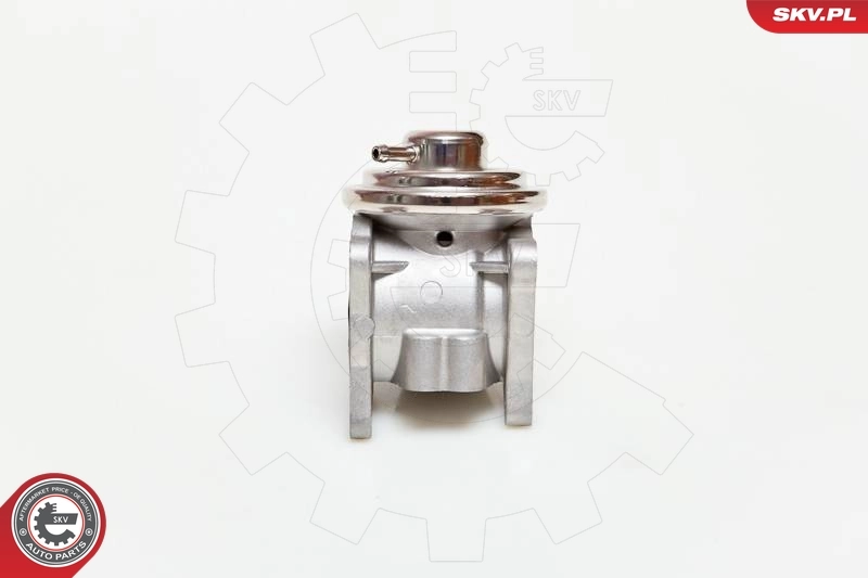 EGR Valve 14SKV019
