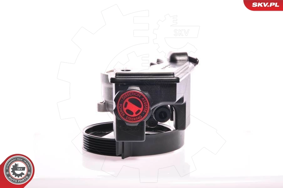 Hydraulic Pump, steering 10SKV159