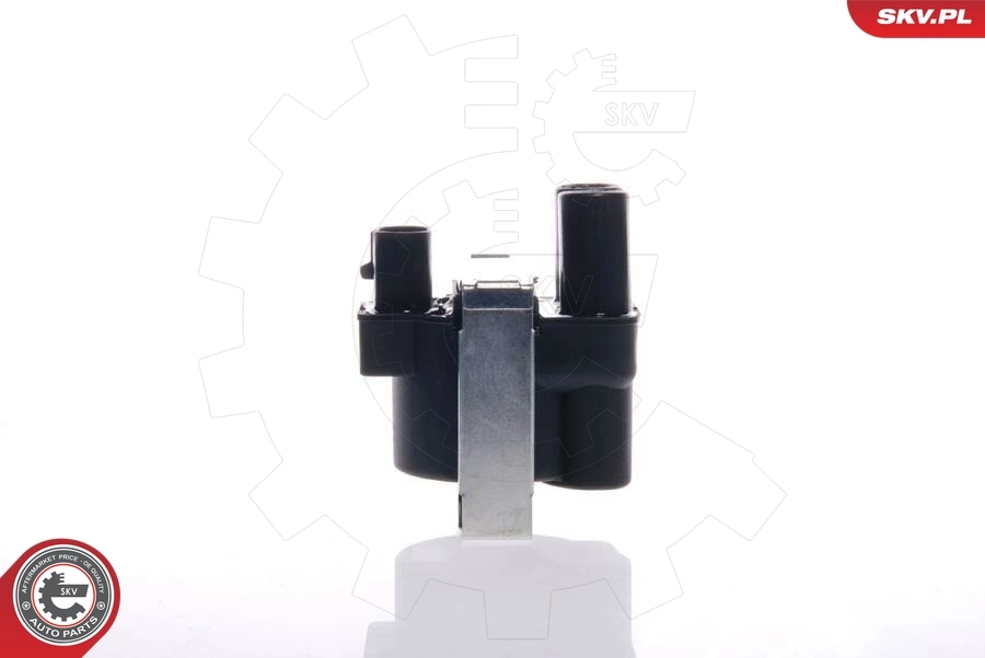 Ignition Coil 03SKV003