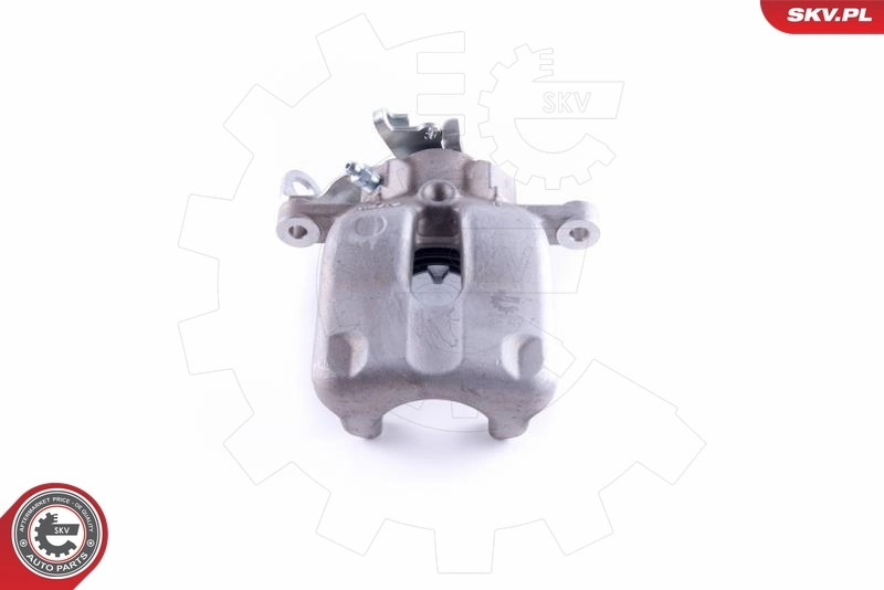 Brake Caliper 55SKV203