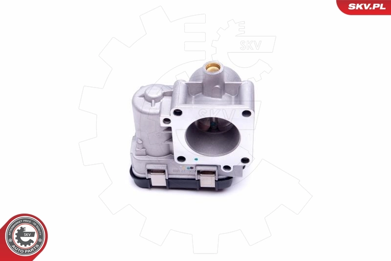 Throttle Body 12SKV075