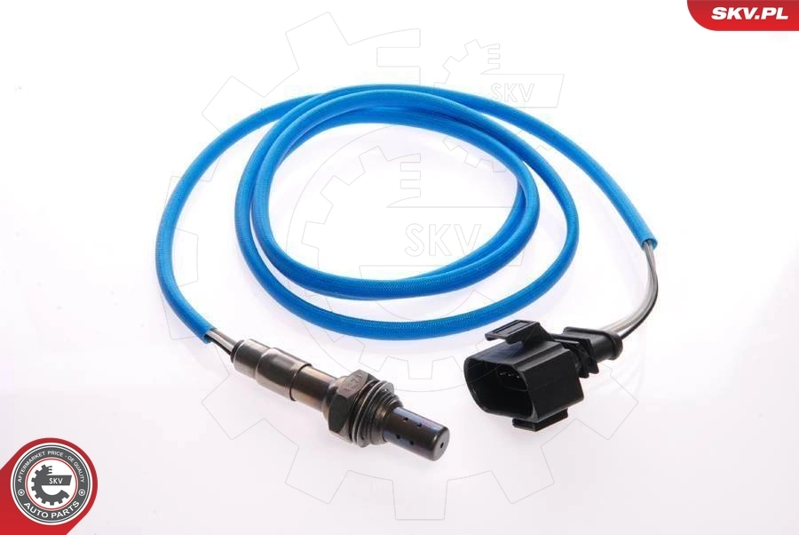 Oxygen Sensor 09SKV079