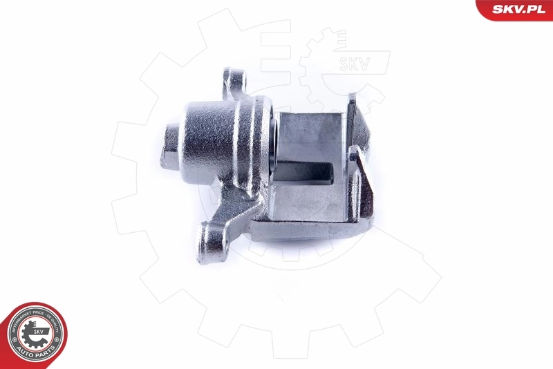 Brake Caliper 50SKV843