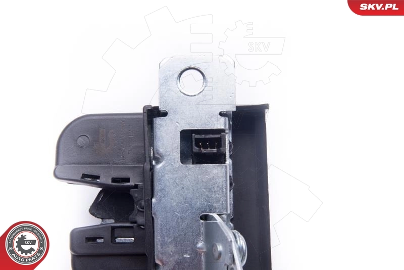 Tailgate Lock 16SKV286
