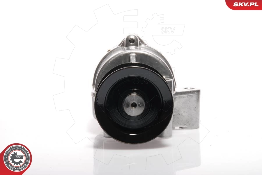 Vacuum Pump, braking system 18SKV002