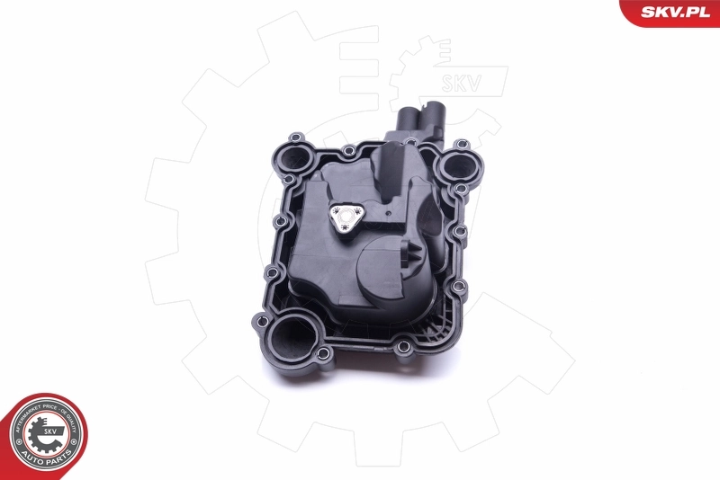 Valve, crankcase ventilation 31SKV078