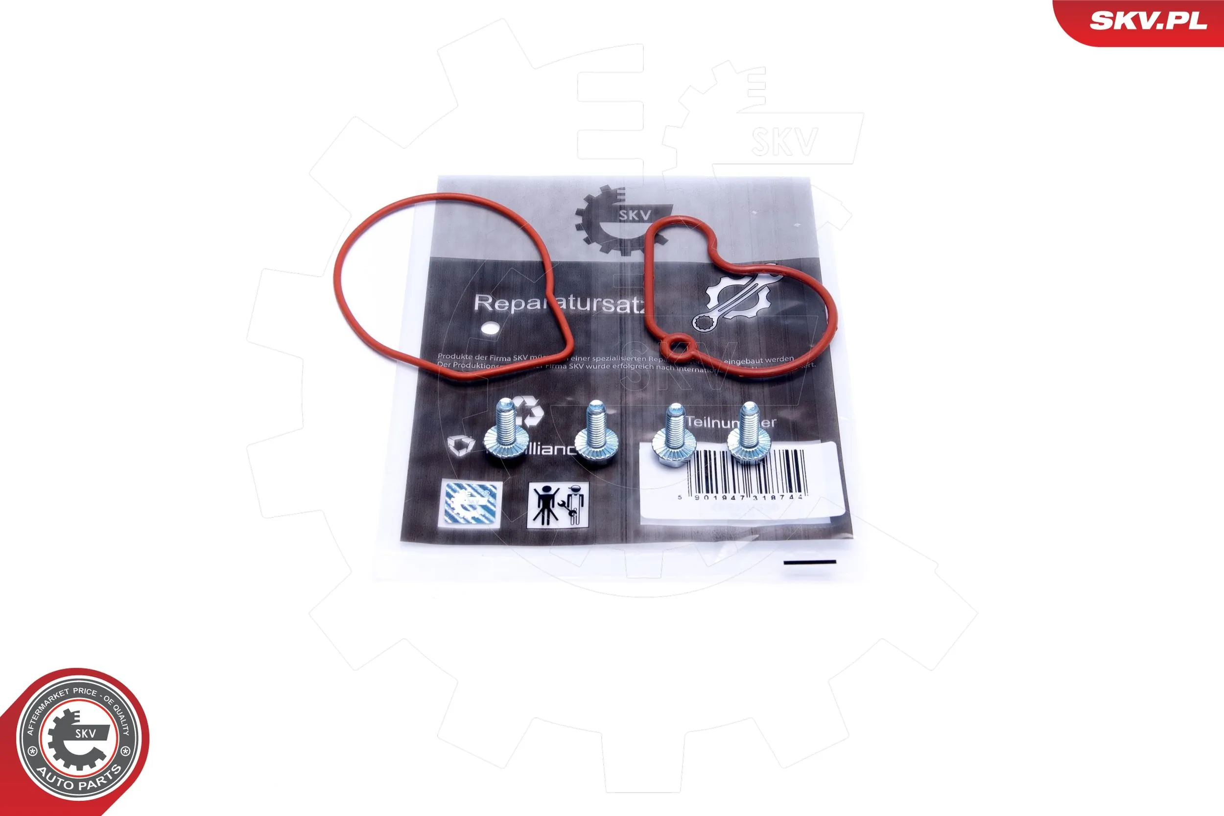 Repair Set, vacuum pump (braking system) 18SKV807