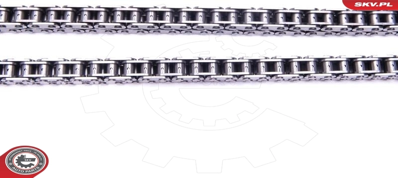 Timing Chain Kit 21SKV167