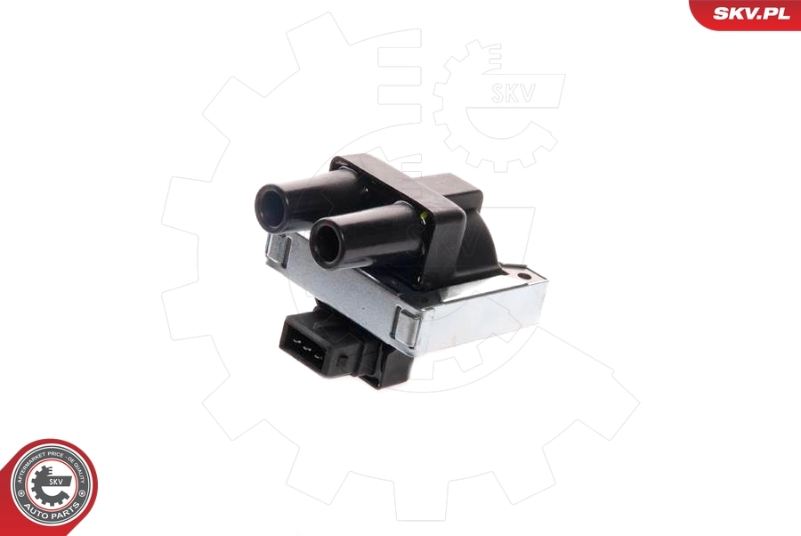 Ignition Coil 03SKV045