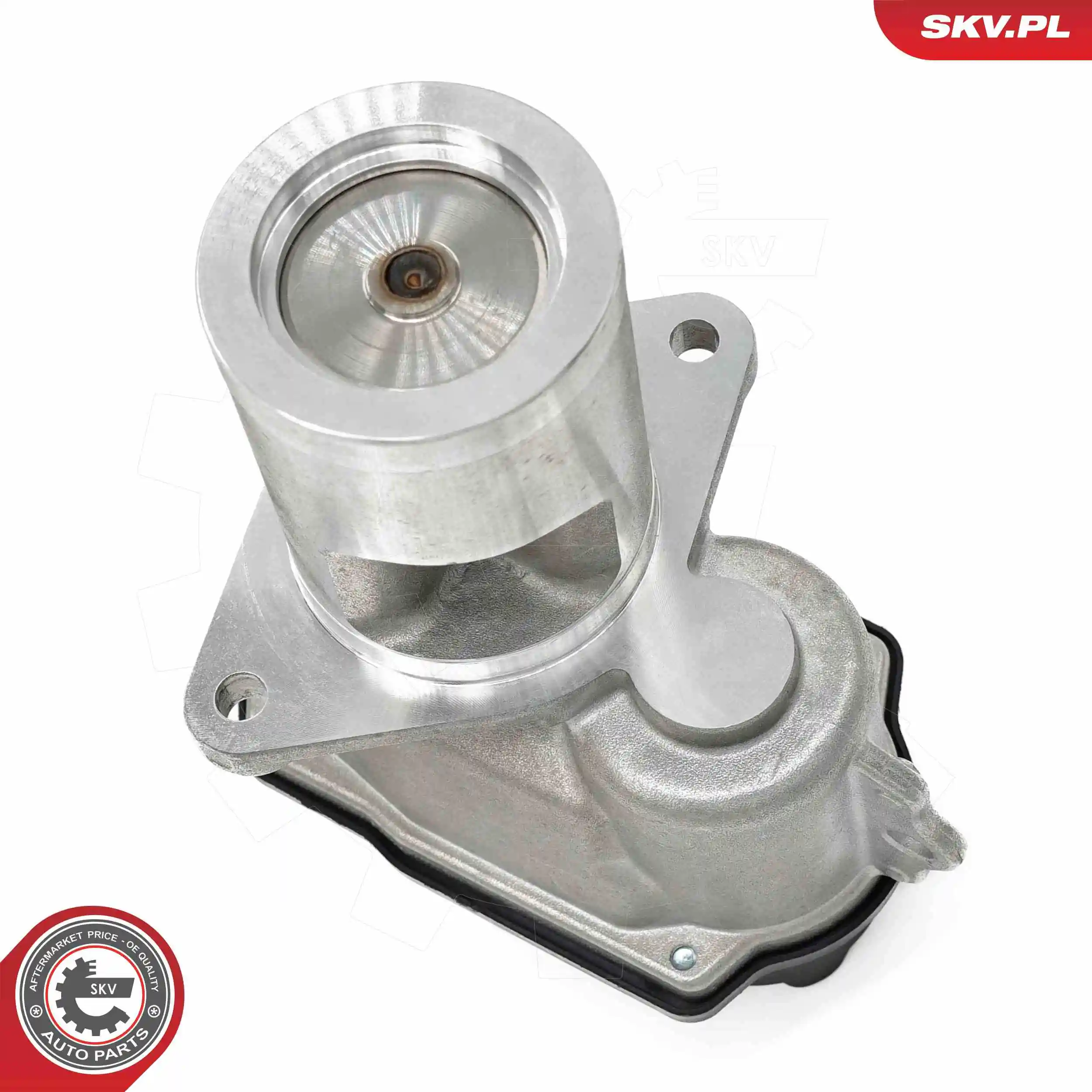 ESEN SKV 14SKV274 EGR Valve
