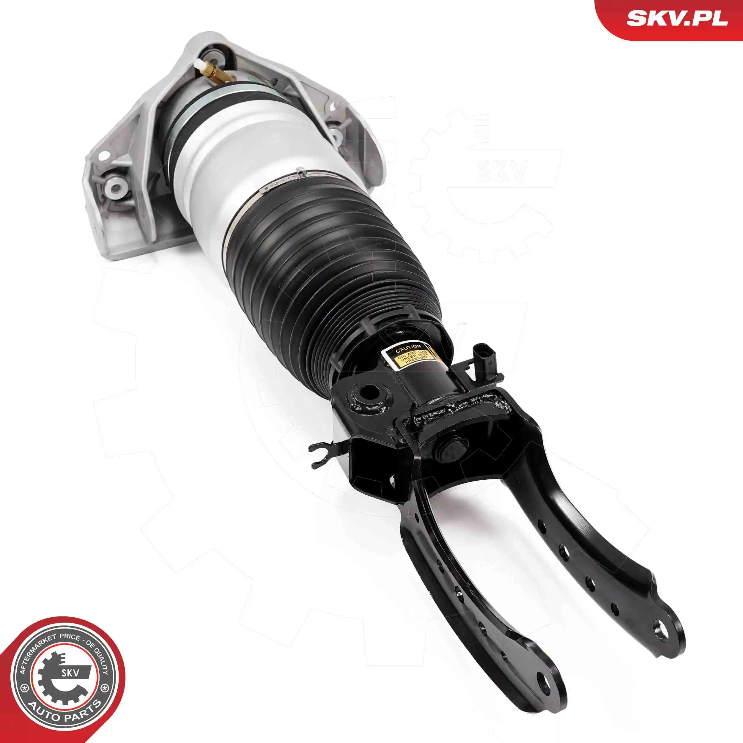 Air Suspension Strut 58SKV703