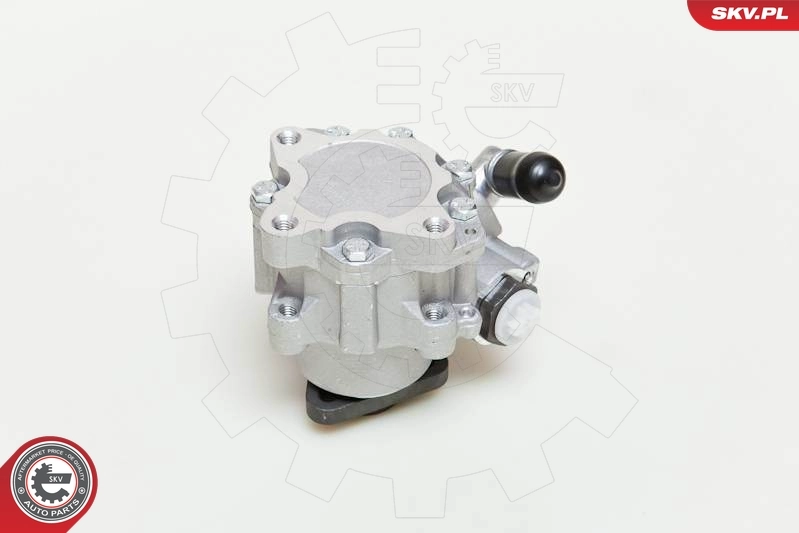 油圧ポンプ、ステアリング 10SKV049