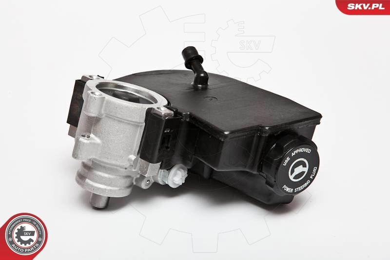 Hydraulic Pump, steering 10SKV090