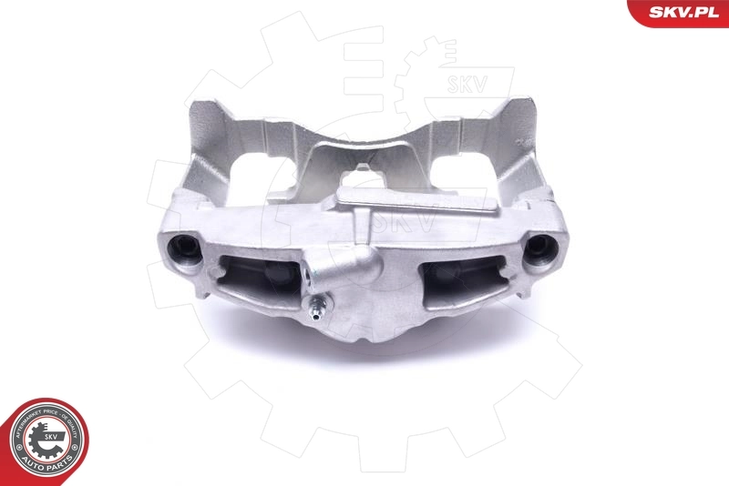 Brake Caliper 55SKV782