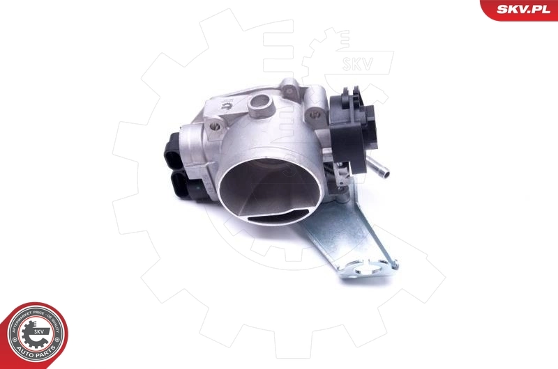 Throttle Body 12SKV084