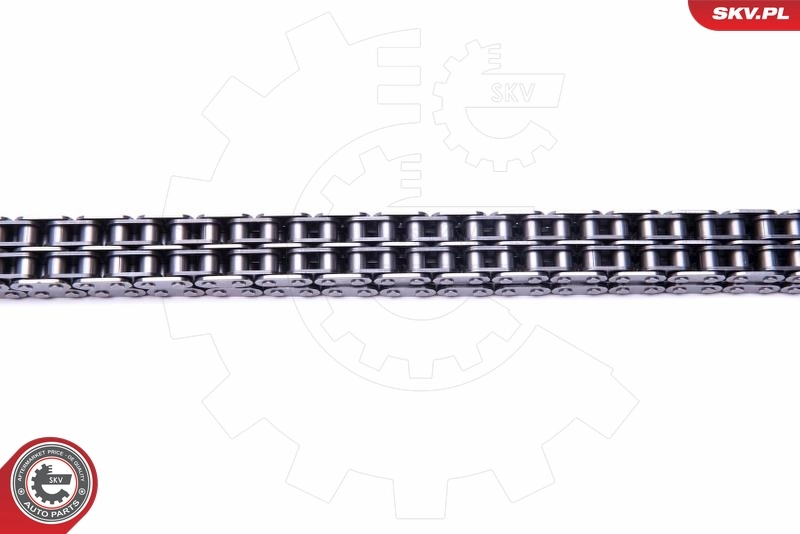 Timing Chain Kit 21SKV128