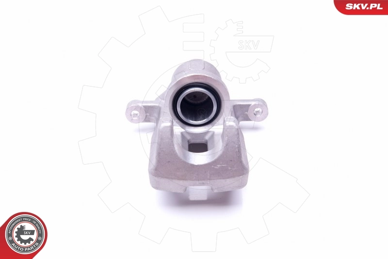 Brake Caliper 45SKV814