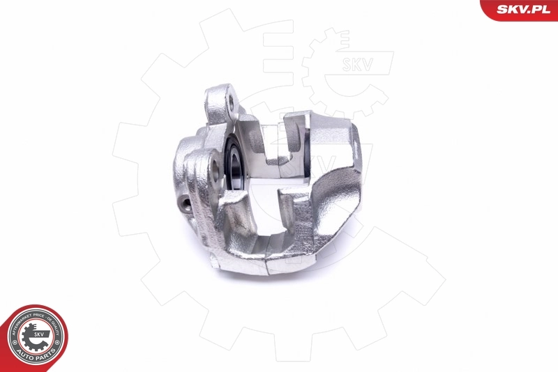 Brake Caliper 45SKV442