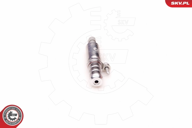 Control Valve, camshaft adjustment 39SKV003