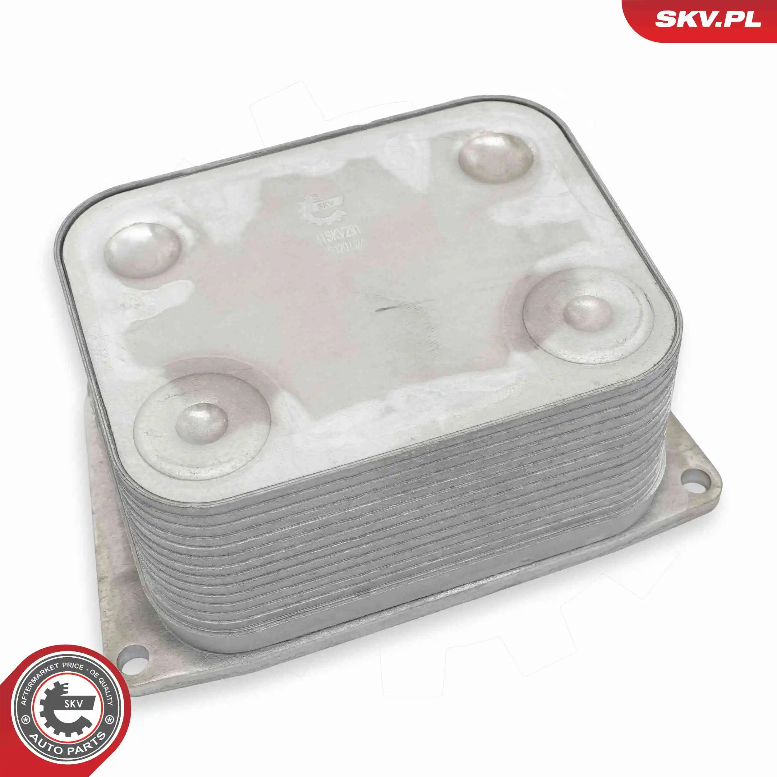 Oil Cooler, engine oil 31SKV291