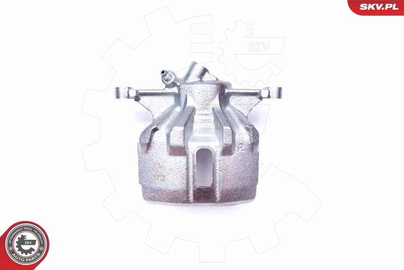 Brake Caliper 42SKV702