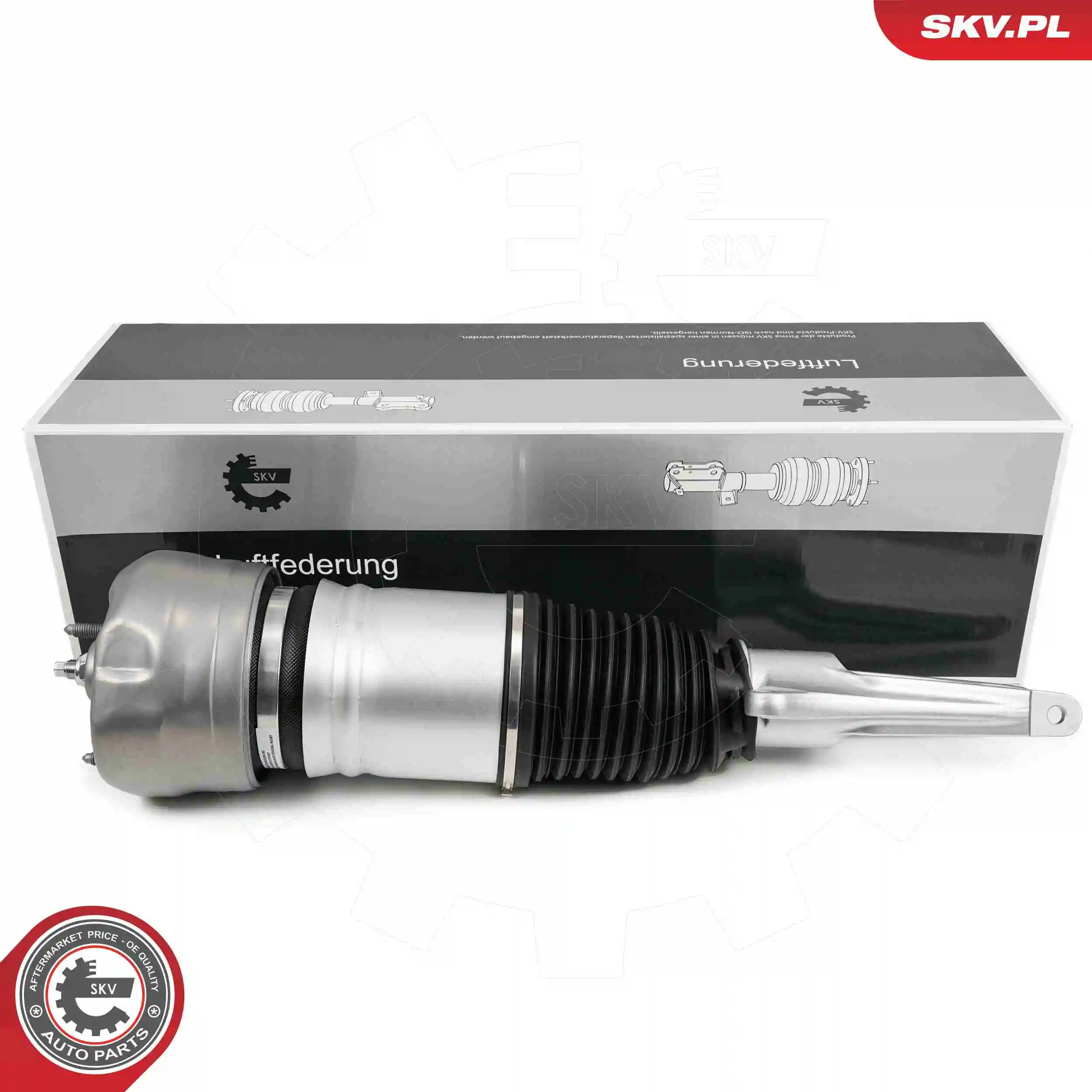 Air Suspension Strut 58SKV707