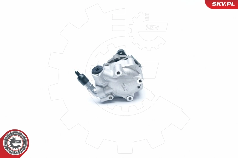 Hydraulic Pump, steering 10SKV184