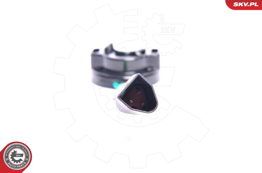 ESEN SKV 17SKV003 Sensor, throttle position