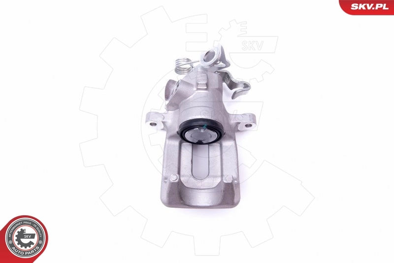 Brake Caliper 45SKV733