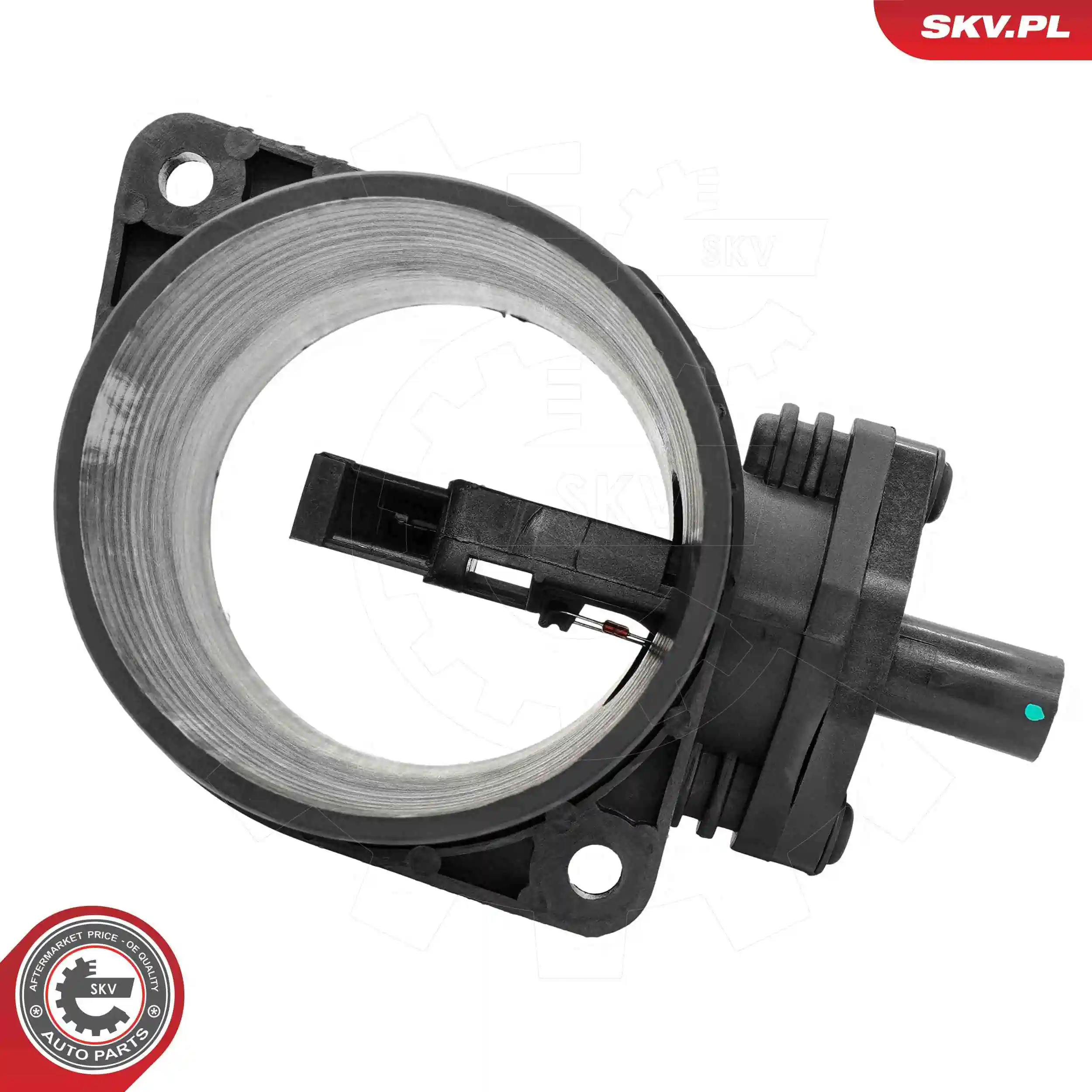 Mass Air Flow Sensor 07SKV313