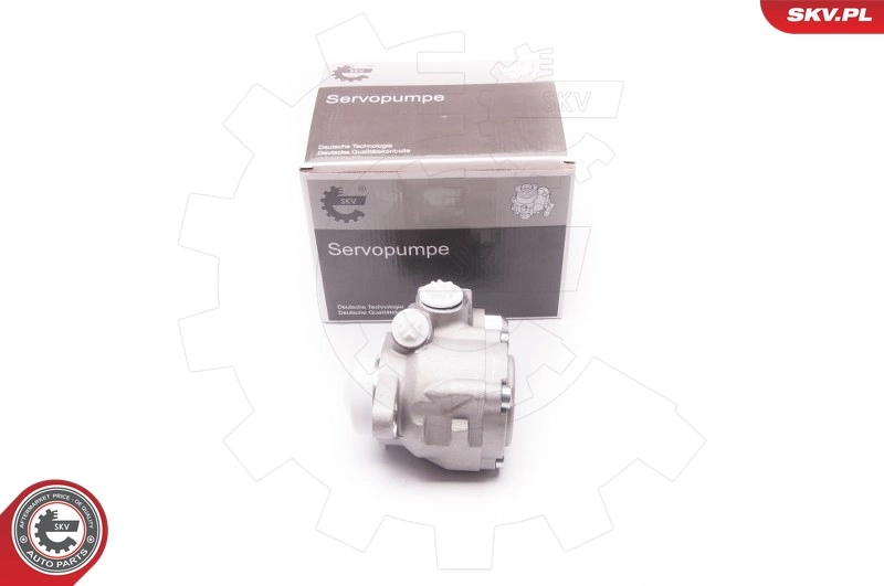 Hydraulic Pump, steering 1SKV0006