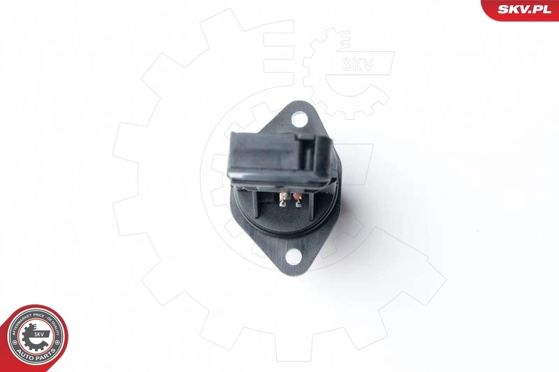 Mass Air Flow Sensor 07SKV505