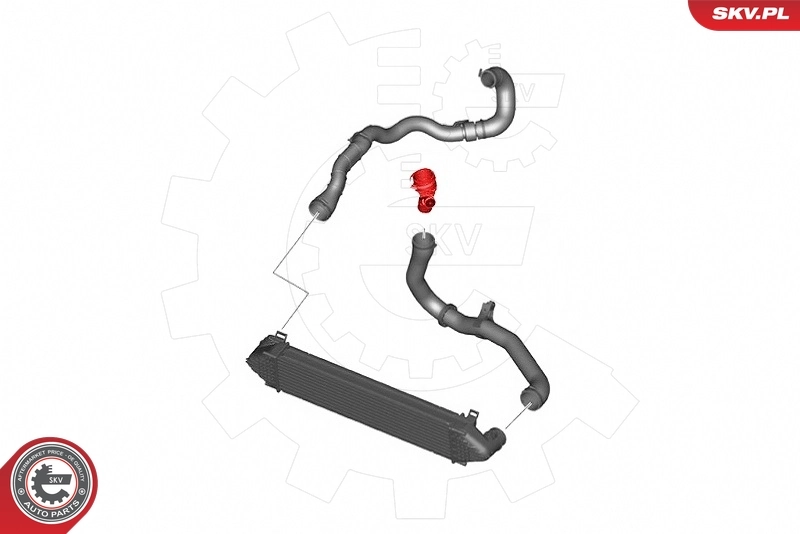 Charge Air Hose 43SKV306