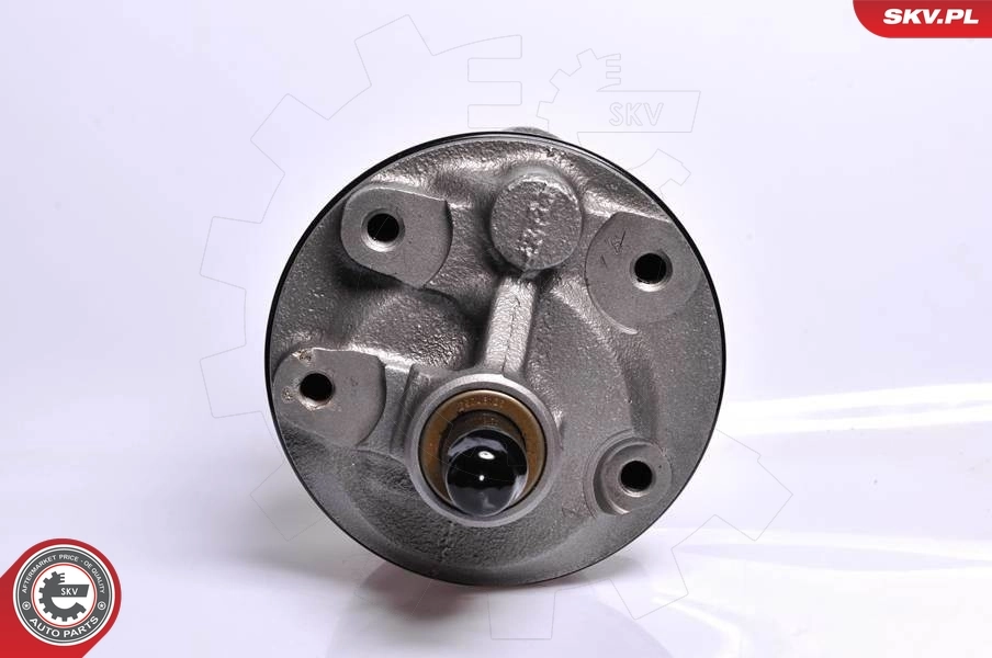 Hydraulic Pump, steering 10SKV128