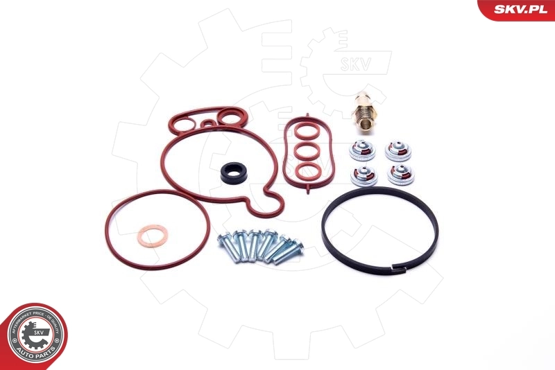 Repair Set, vacuum pump (braking system) 18SKV805