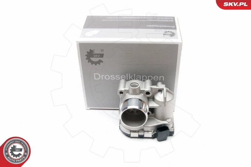 Throttle Body 12SKV041