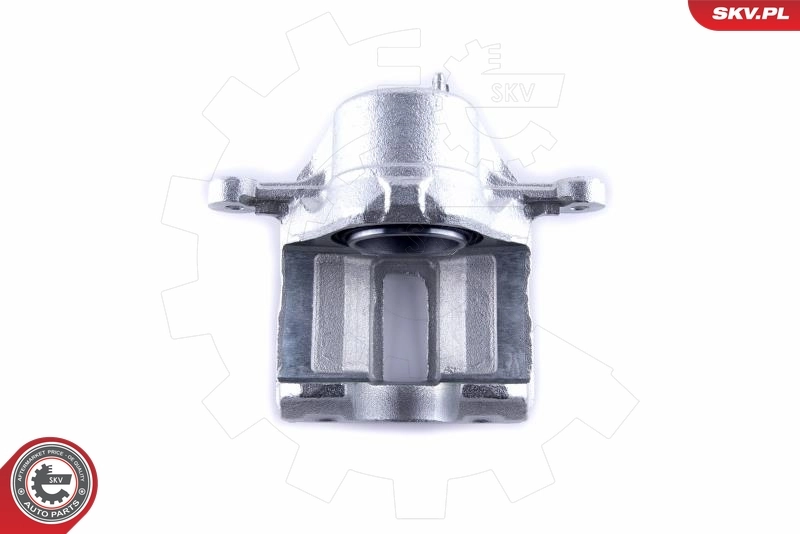 Brake Caliper 50SKV782
