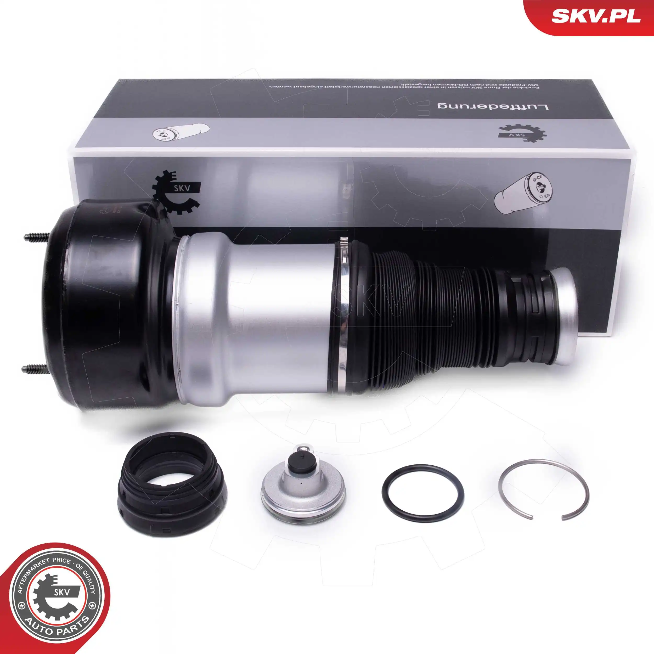 Air Suspension Strut 58SKV083